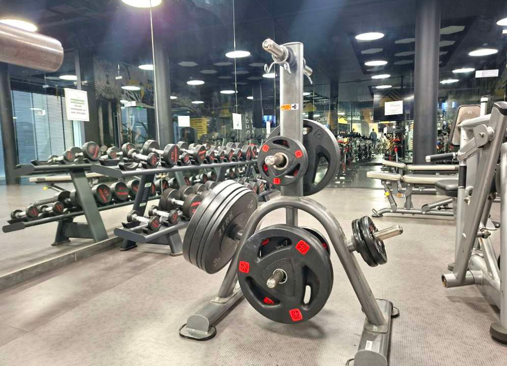 83087 5