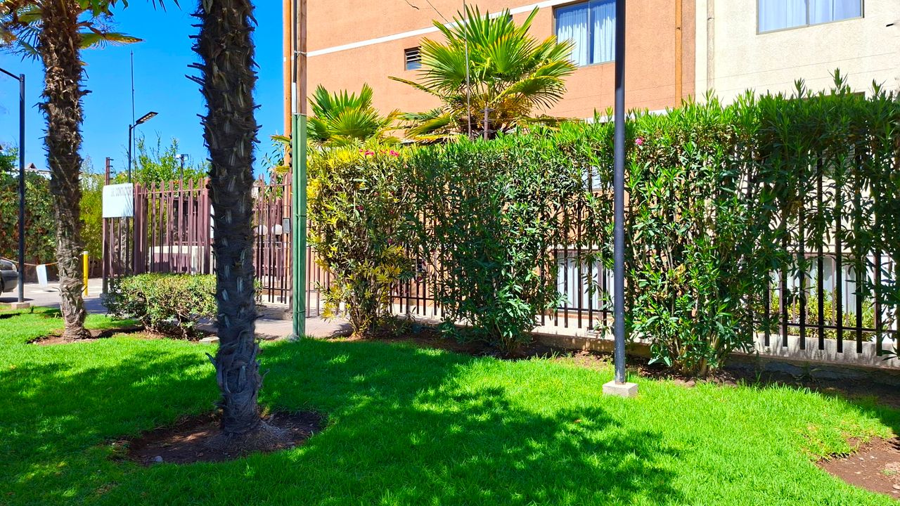 Condominio los Alamos 1