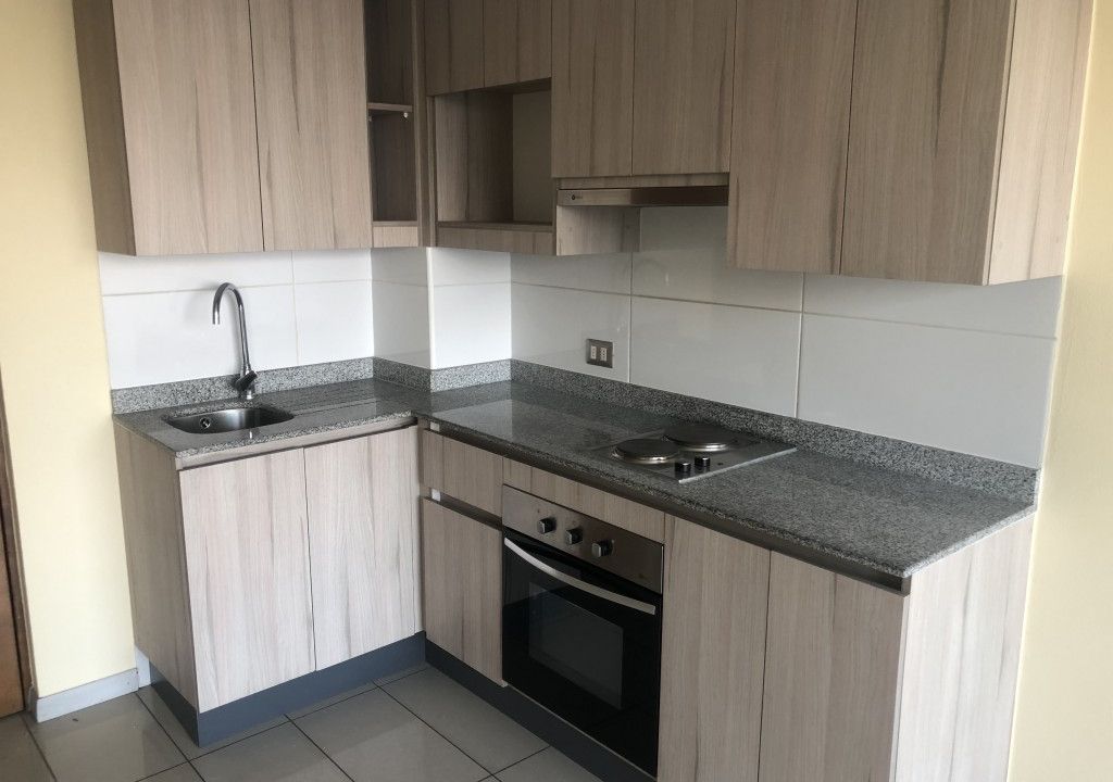4981 2